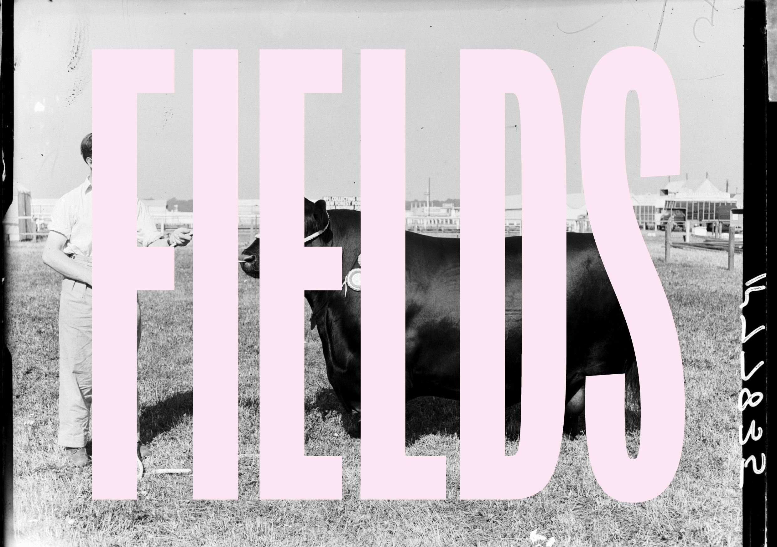 Home page image featuring the FIELDS logo overlaid on an archival photograph of a farmer and bull